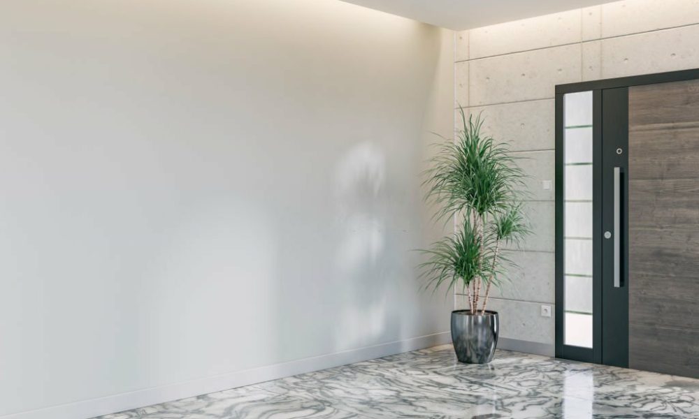 Side view of an empty modern elegant unfurnished interior with a large modern black and hardwood entrance door on a cement tiled pattern wall background and with a high potted plant dragon tree (dracaena marginata) in front of a white plaster wall background, on the white and gray marble tiled floor, and copy space.  3D rendered image.