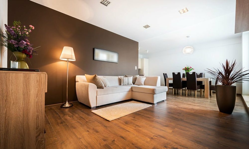 Luxurious living room with kitchen area